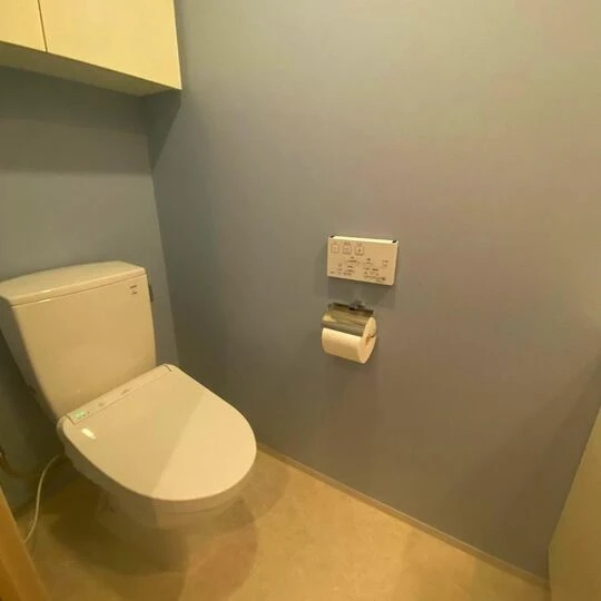 画像1388：トイレクロス張替え